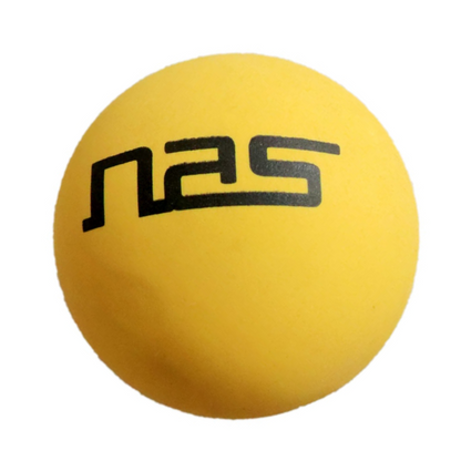 Durable Training Cricket Balls for South Africa Players