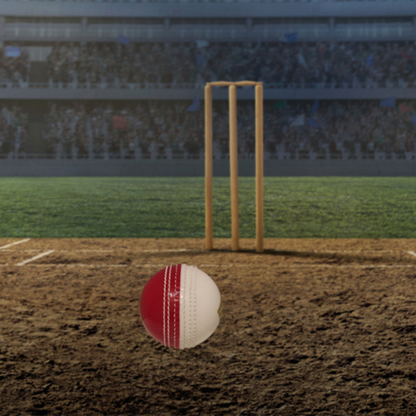 NAS Incredible Ball Cricket Ball – safe, soft feel cricket ball for all ages
