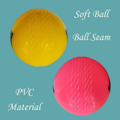Wind ball cricket ball SA