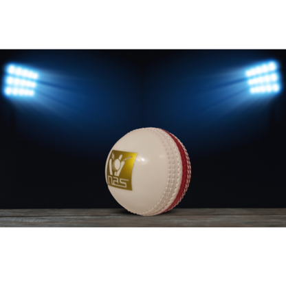 NAS Incredible Ball Cricket Ball – safe, soft feel cricket ball for all ages- SA