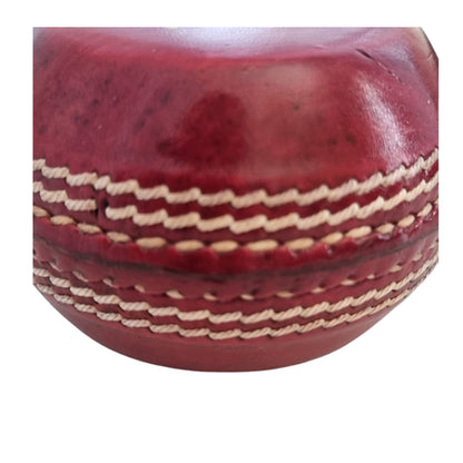 Aggot Cricket Skill Coaching Seam Training Leather Ball